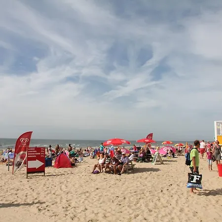 Droom Aan Zee *